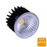 Atum II Tunable White Led Module