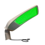 Astra 'Green' Led Straatverlichting
